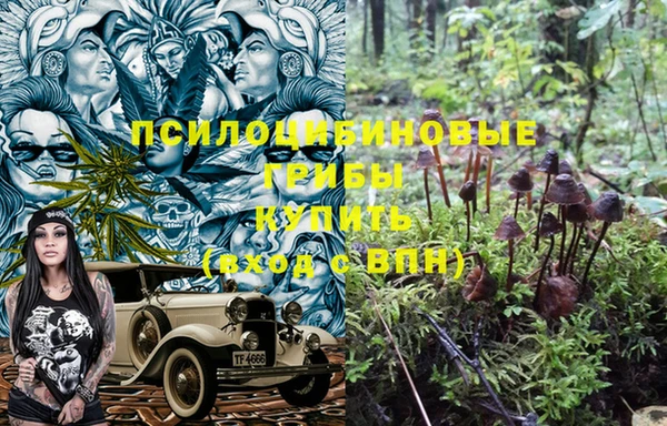 меф Арсеньев