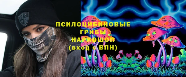 меф Арсеньев