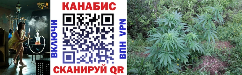 omg рабочий сайт  Семёнов  Шишки марихуана THC 21% 